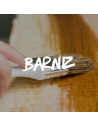 BARNIZ