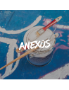 ANEXOS